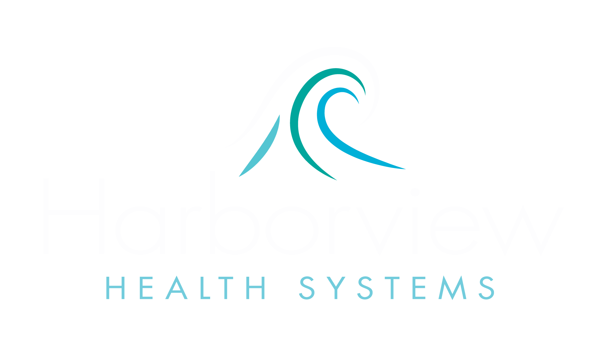 Harborview Health Systems